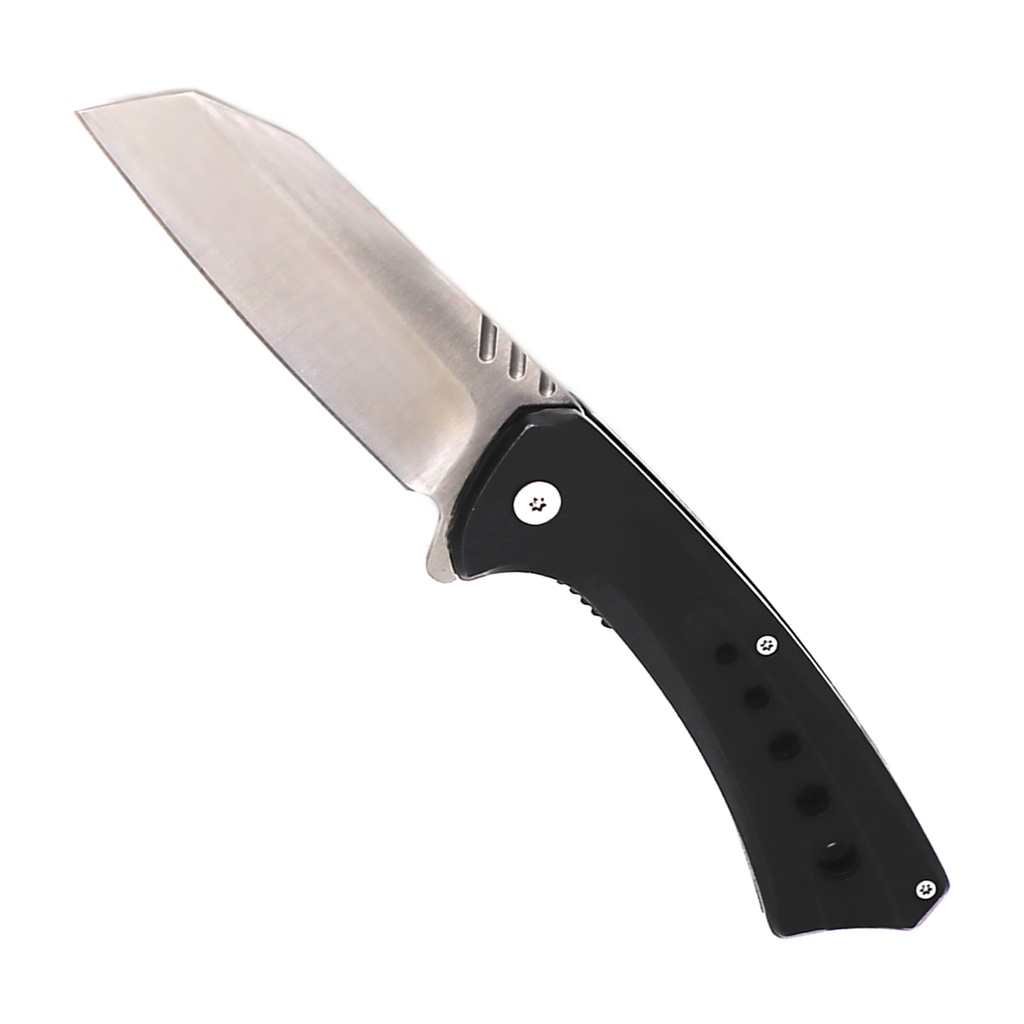 Lustrous Edge Quick-Deploy Spring-Assisted Knife - Chrome